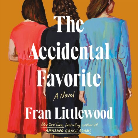 One of our recommended books is The Accidental Favorite by Fran Littlewood